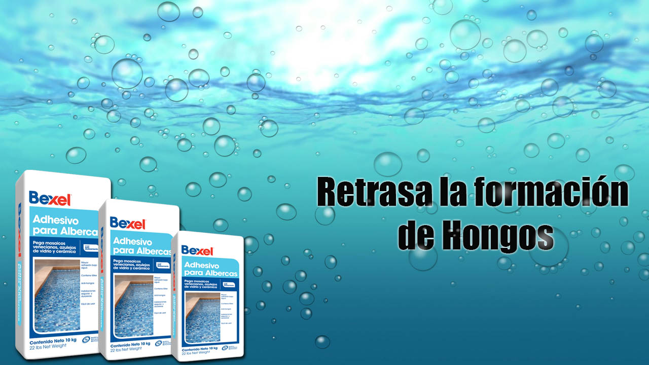 ¡Conserva tu alberca impecable!