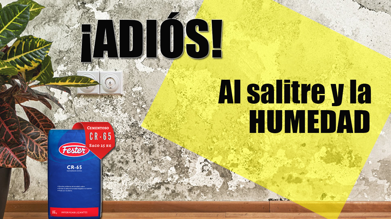 ¡Dile adiós al salitre y humedad de tu casa!